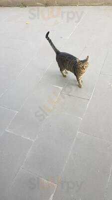 Meşhur Gülçimen Aspava Emek