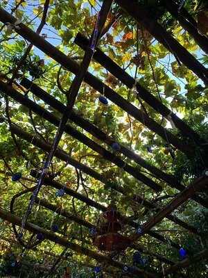 Rose's Cafe & Restaurant