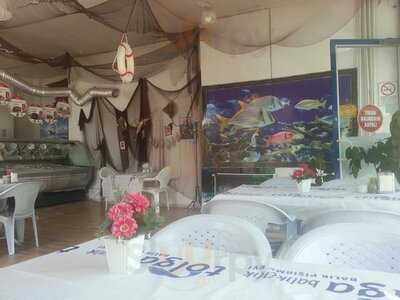 Tolga Balık Pişirme Evi