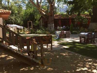 Maydanoz Süpüroğlu