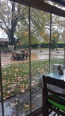 Maydanoz Süpüroğlu