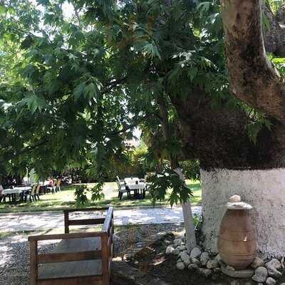 Maydanoz Süpüroğlu