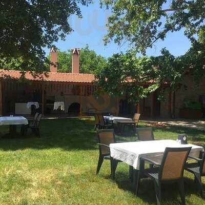 Maydanoz Süpüroğlu