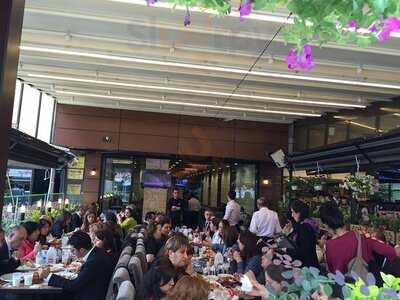 Meşhur Aspava Selani