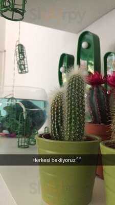 Kaktüs Yemek Atölyesi