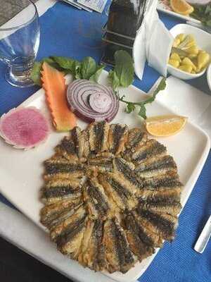 Ayabakan Balıkçılık Ylmazsta