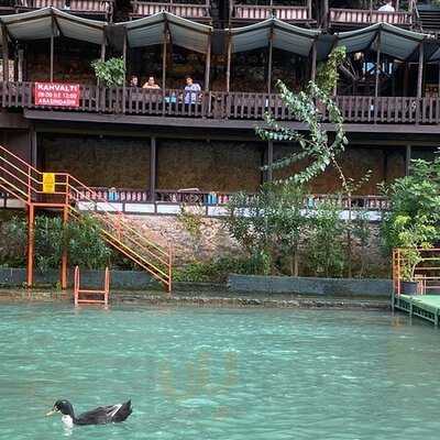 Dimcayi Pinarbasi Restaurant (alabalık Çiftliği)