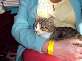 Copenhagen Corner Restaurant & Bar