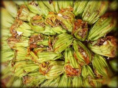 Marmaris Balıkçısı