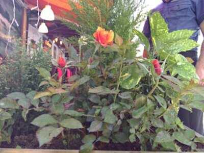 Sultanahmet Kebab House