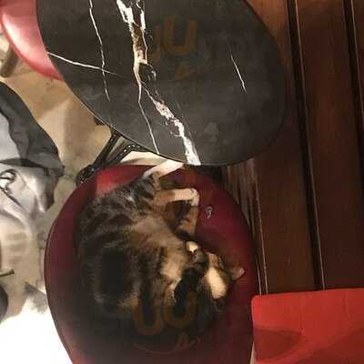 Noir Pit Coffee Co. Pera