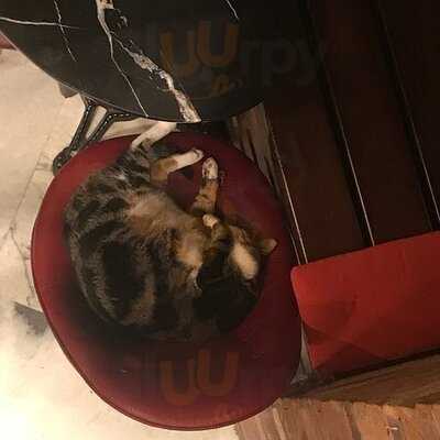 Noir Pit Coffee Co. Pera