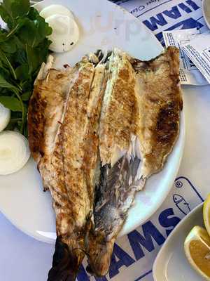 Hamsi Balık Umitkoy