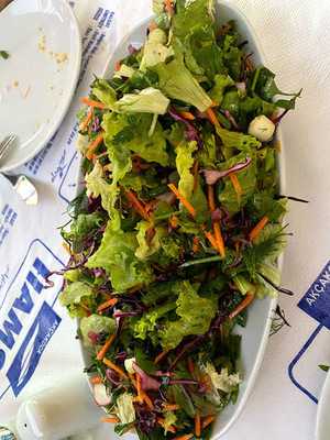 Hamsi Balık Umitkoy