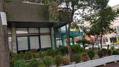 Drupe Coffee & Stuff