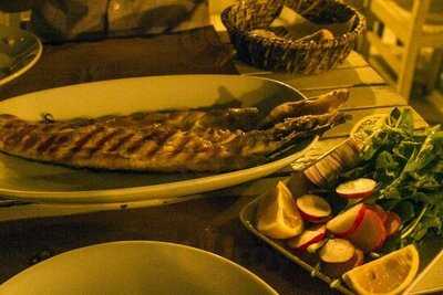 Cibalikapı Balıkçısı 