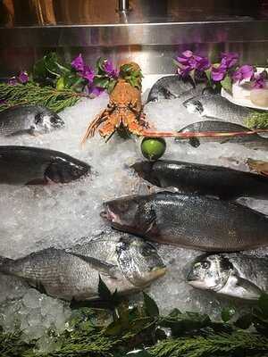 Radika Meze & Balık