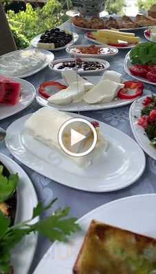 Hak Evrensel Hatay Sofrası