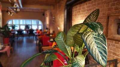 Cicki Ma Ma Istanbul