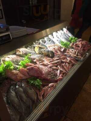 Kalamış Cundalı Ayvalık Balıkçısı