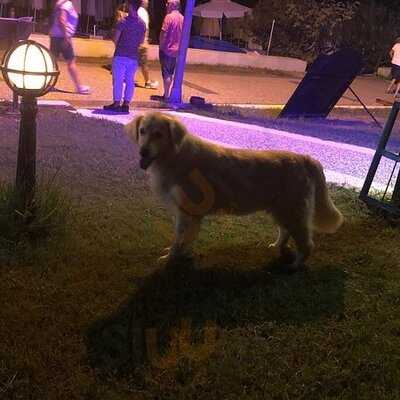 Linda Beach Restaurant