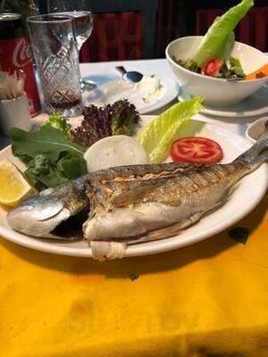 Galata Altın Balık