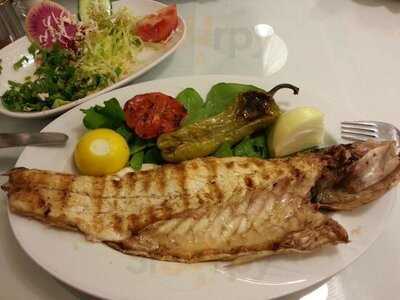 Halas Balik Bakirkoy