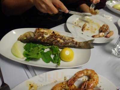 Halas Balik Bakirkoy