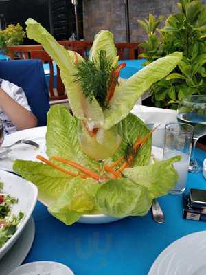 Kirecburnu Balıkcısı