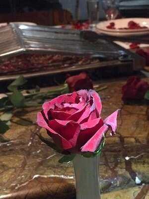 Çınaraltı Mangalbaşı