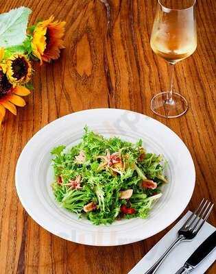 The Steeve By Ismet Saz