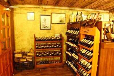 Salaş Barınak Balık