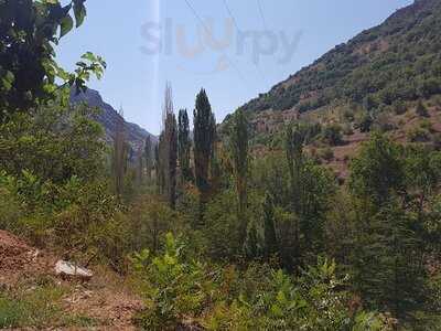 Kamil Efendi Kahve Evi