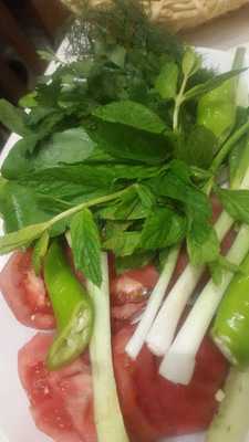 Askoroz Balıkçısı