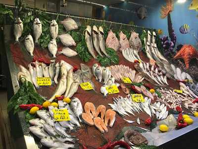 Ali Baba Balıkçılık