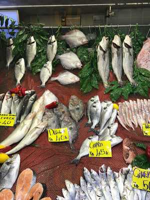 Ali Baba Balıkçılık