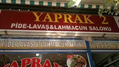 Yaprak 2