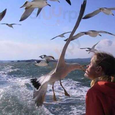 Birtek Kahvaltıcım