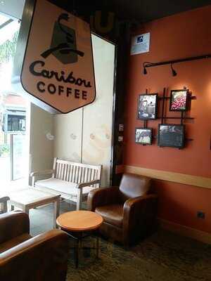 Caribou Coffee