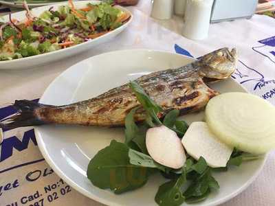 Hamsi Balık Lokantası