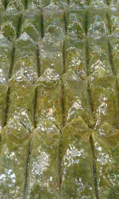 Meshur Yilmaz Kadayif