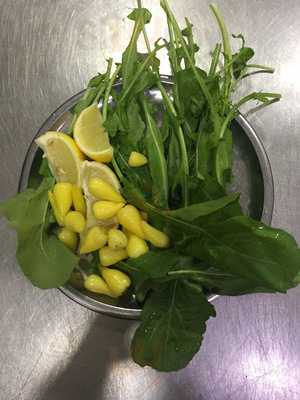 Gaziantep Közde Künefe Kebap Salonu