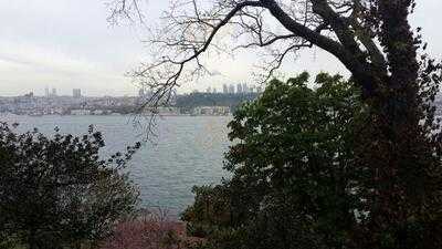 Yeşil Mavi Karadeniz Sofrası