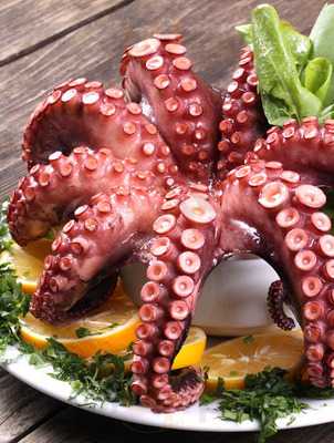 Riva Yelken Balık Restaurant