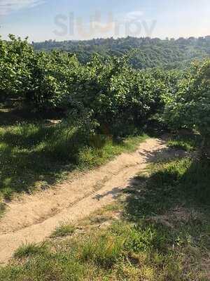 Gorele Park Et Mangal