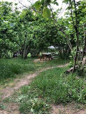 Gorele Park Et Mangal