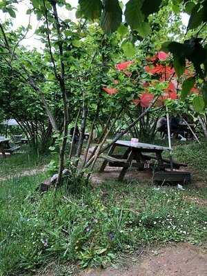 Gorele Park Et Mangal