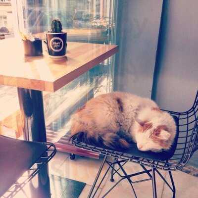 Kafital Coffee Roastery & Cocktail Bar