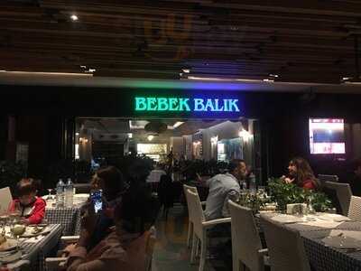 Bebek Balıkçı