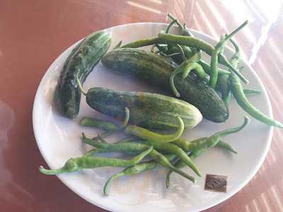 Anatolya Lahmacun Ve Kebap Salonu